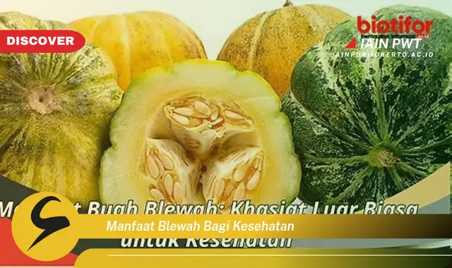 manfaat blewah bagi kesehatan