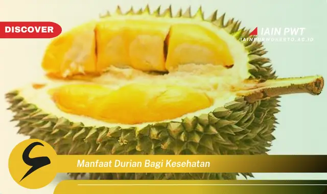 manfaat durian bagi kesehatan