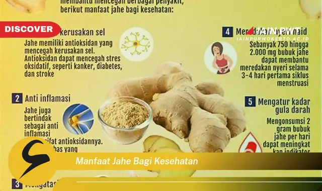 manfaat jahe bagi kesehatan