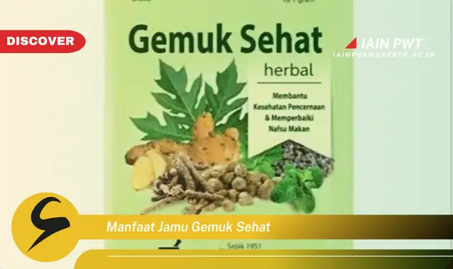 manfaat jamu gemuk sehat