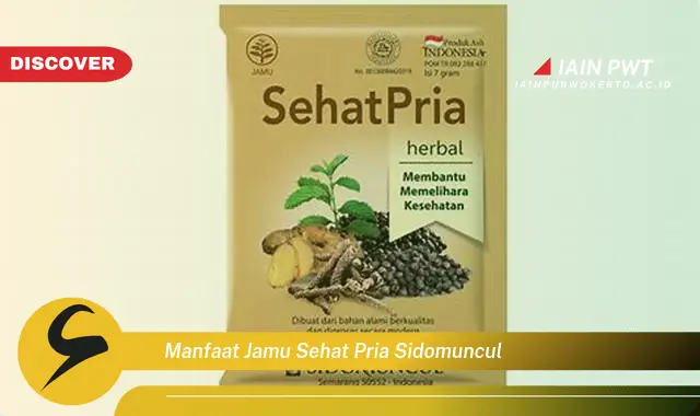 manfaat jamu sehat pria sidomuncul