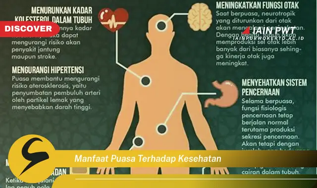 manfaat puasa terhadap kesehatan