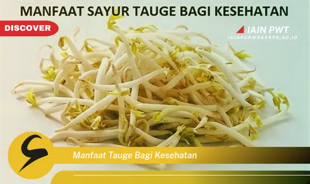 manfaat tauge bagi kesehatan