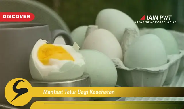 manfaat telur bagi kesehatan