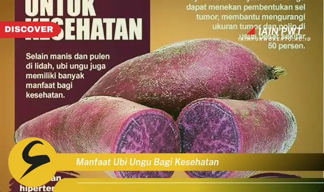 manfaat ubi ungu bagi kesehatan