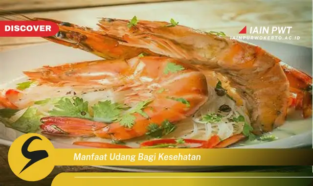 manfaat udang bagi kesehatan