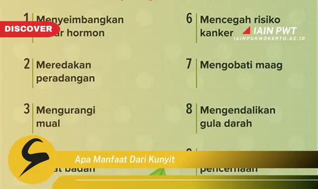 apa manfaat dari kunyit