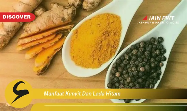 manfaat kunyit dan lada hitam manfaat kunyit dan lada hitam