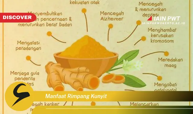 manfaat rimpang kunyit