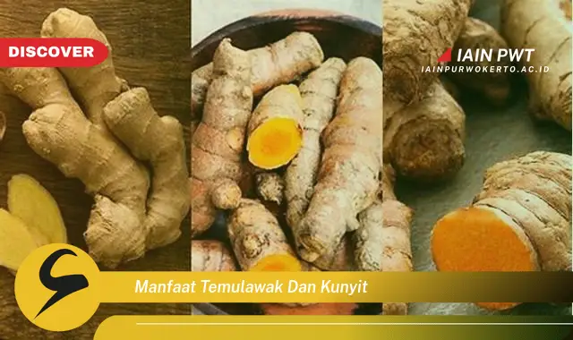 manfaat temulawak dan kunyit