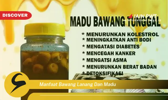 manfaat bawang lanang dan madu