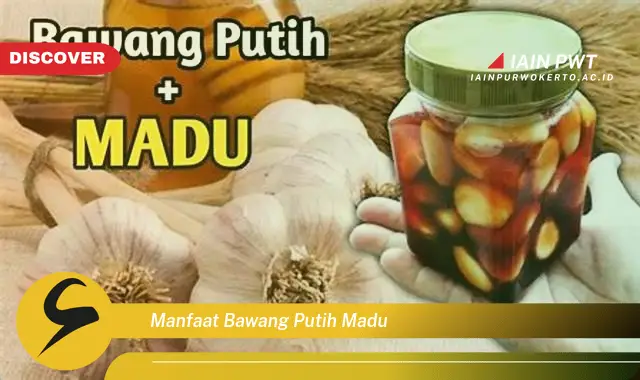 manfaat bawang putih madu