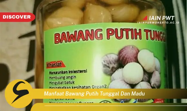 manfaat bawang putih tunggal dan madu