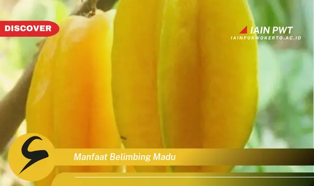 manfaat belimbing madu