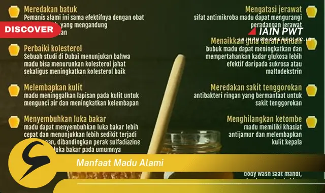 Temukan 5 Manfaat Madu Alami yang Bikin Kamu Tercengang - Discover