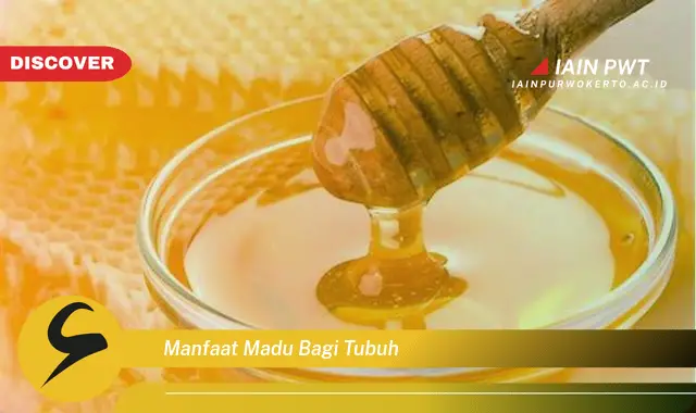 manfaat madu bagi tubuh