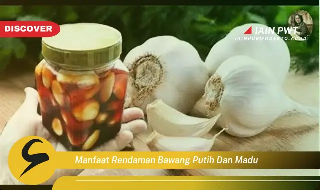 manfaat rendaman bawang putih dan madu