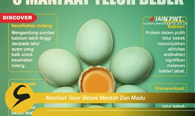 manfaat telur bebek mentah dan madu