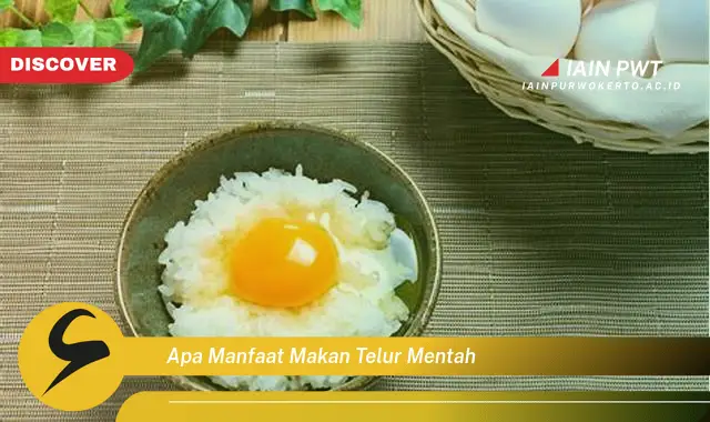 apa manfaat makan telur mentah