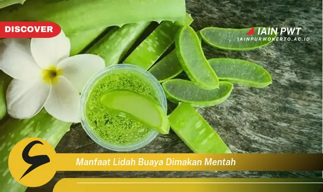 manfaat lidah buaya dimakan mentah