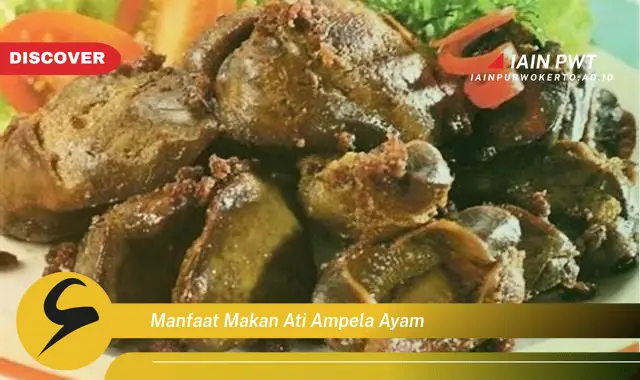 manfaat makan ati ampela ayam