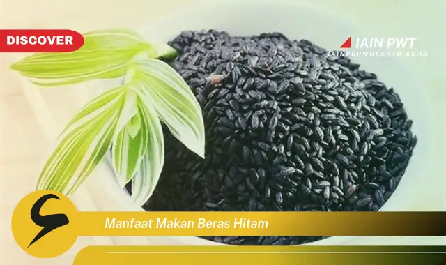 manfaat makan beras hitam