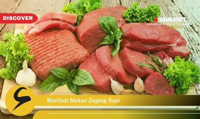 manfaat makan daging sapi