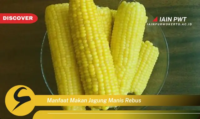 manfaat makan jagung manis rebus