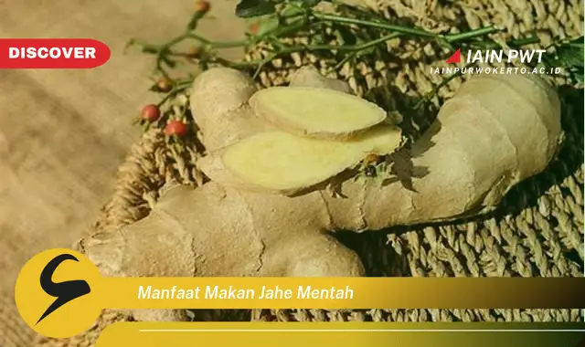 manfaat makan jahe mentah