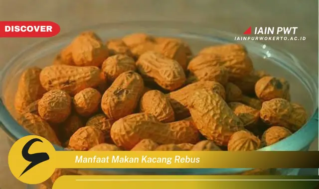 manfaat makan kacang rebus