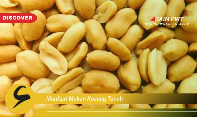 manfaat makan kacang tanah