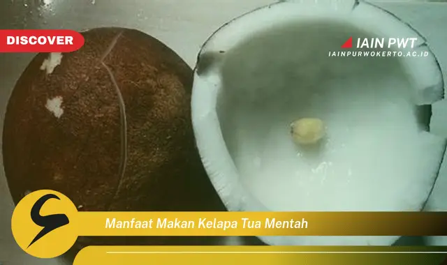 manfaat makan kelapa tua mentah