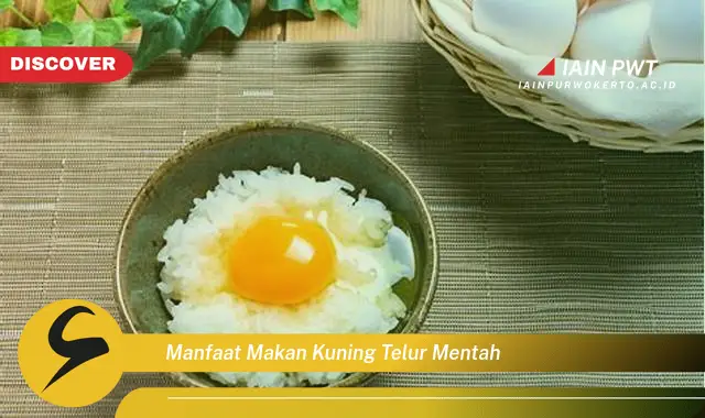 manfaat makan kuning telur mentah