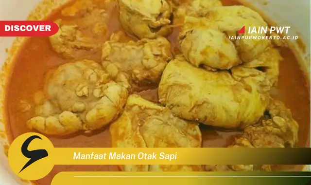 manfaat makan otak sapi