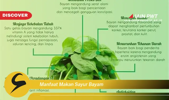 manfaat makan sayur bayam