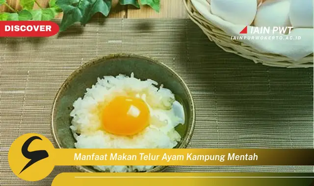 manfaat makan telur ayam kampung mentah