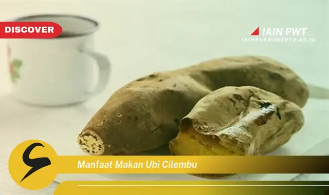 manfaat makan ubi cilembu