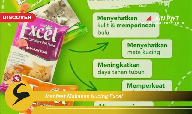 manfaat makanan kucing excel