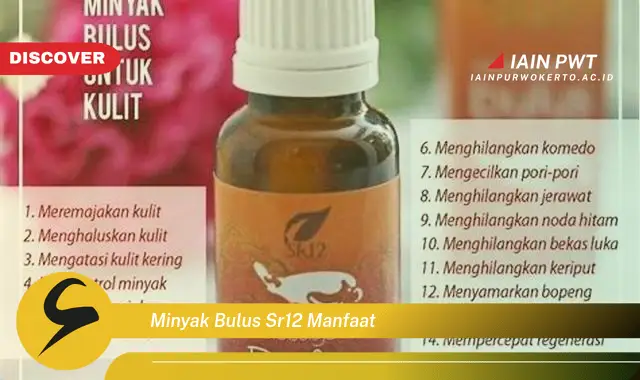 minyak bulus sr12 manfaat