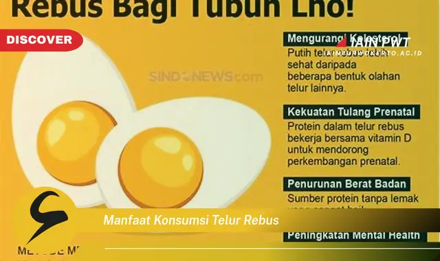 manfaat konsumsi telur rebus