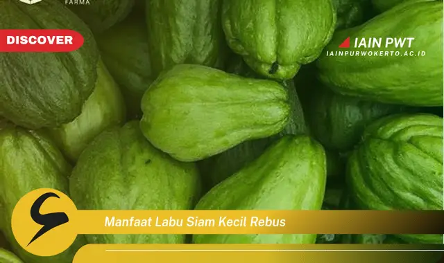 manfaat labu siam kecil rebus