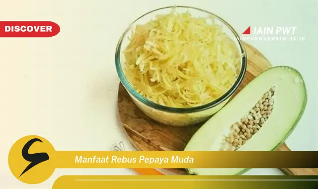 manfaat rebus pepaya muda