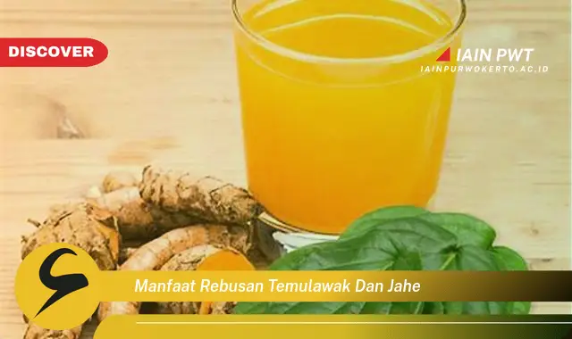 manfaat rebusan temulawak dan jahe