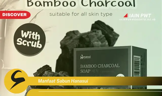 manfaat sabun hanasui
