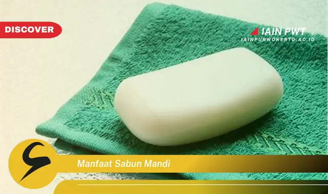 manfaat sabun mandi
