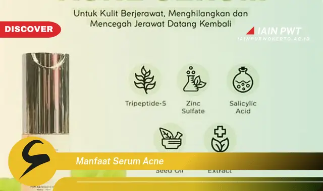 manfaat serum acne