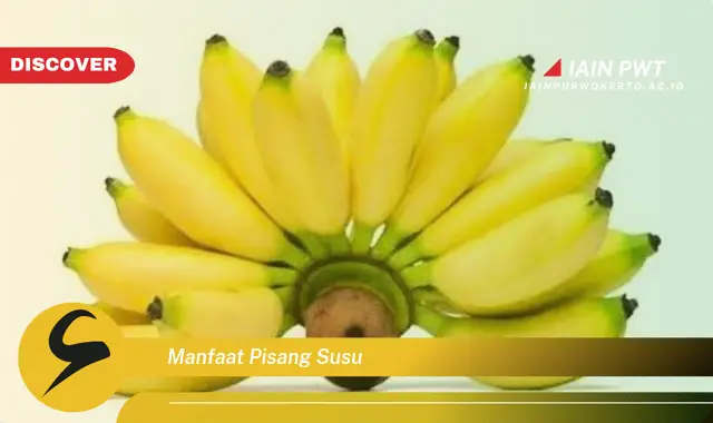 manfaat pisang susu