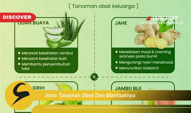 jenis tanaman obat dan manfaatnya