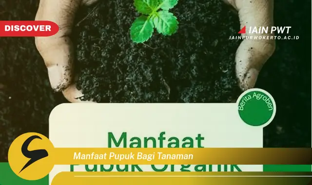 manfaat pupuk bagi tanaman