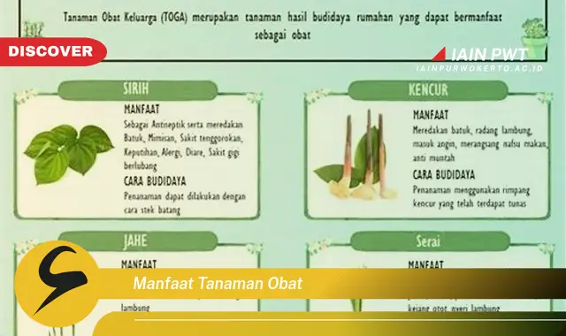 manfaat tanaman obat